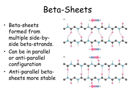 beta sheet antiparallel|Determinants of strand register in antiparallel beta.